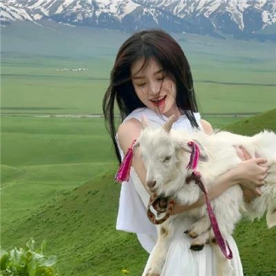 绝望主妇第四季 海报